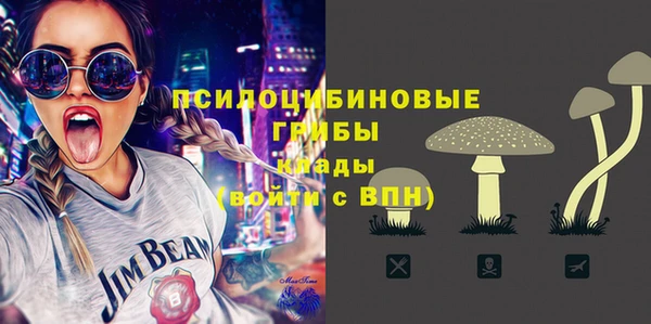 соль ск Арсеньев